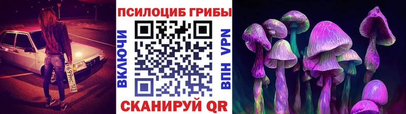 Купить Слободской Псилоцибиновые грибы Psilocybe