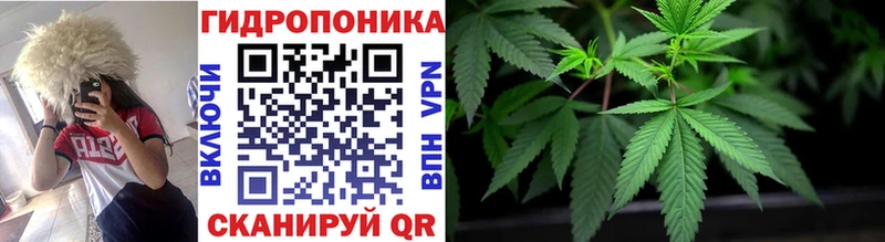 Купить где  Слободской  МАРИХУАНА VHQ 